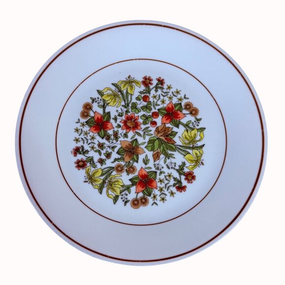 Corelle Indian Summer Dinner Plates Set of 4 VTG Retro Kitchen Table 8.5 Inch - Picture 4 of 11